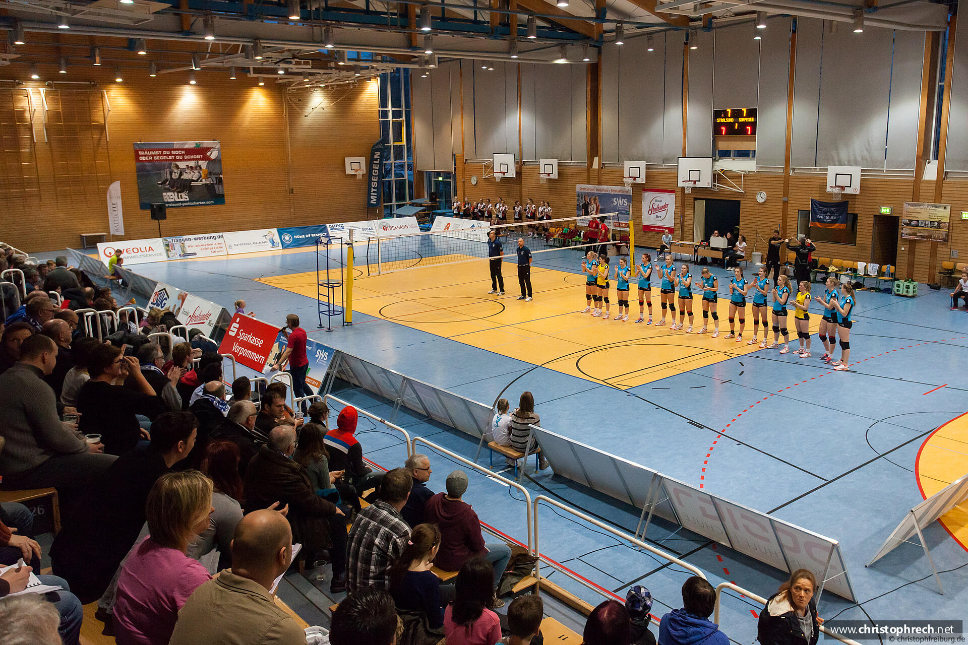 Volleyball: Stralsunder Wildcats - RC Sorpesee